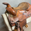 Thumbnail: Used" 15" All Around/Trail Saddle