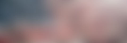 American flag with contours