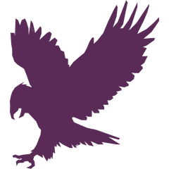 Design sem nome (6).png