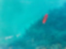 DJI_0111_edited.jpg