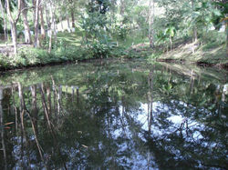 lago 1