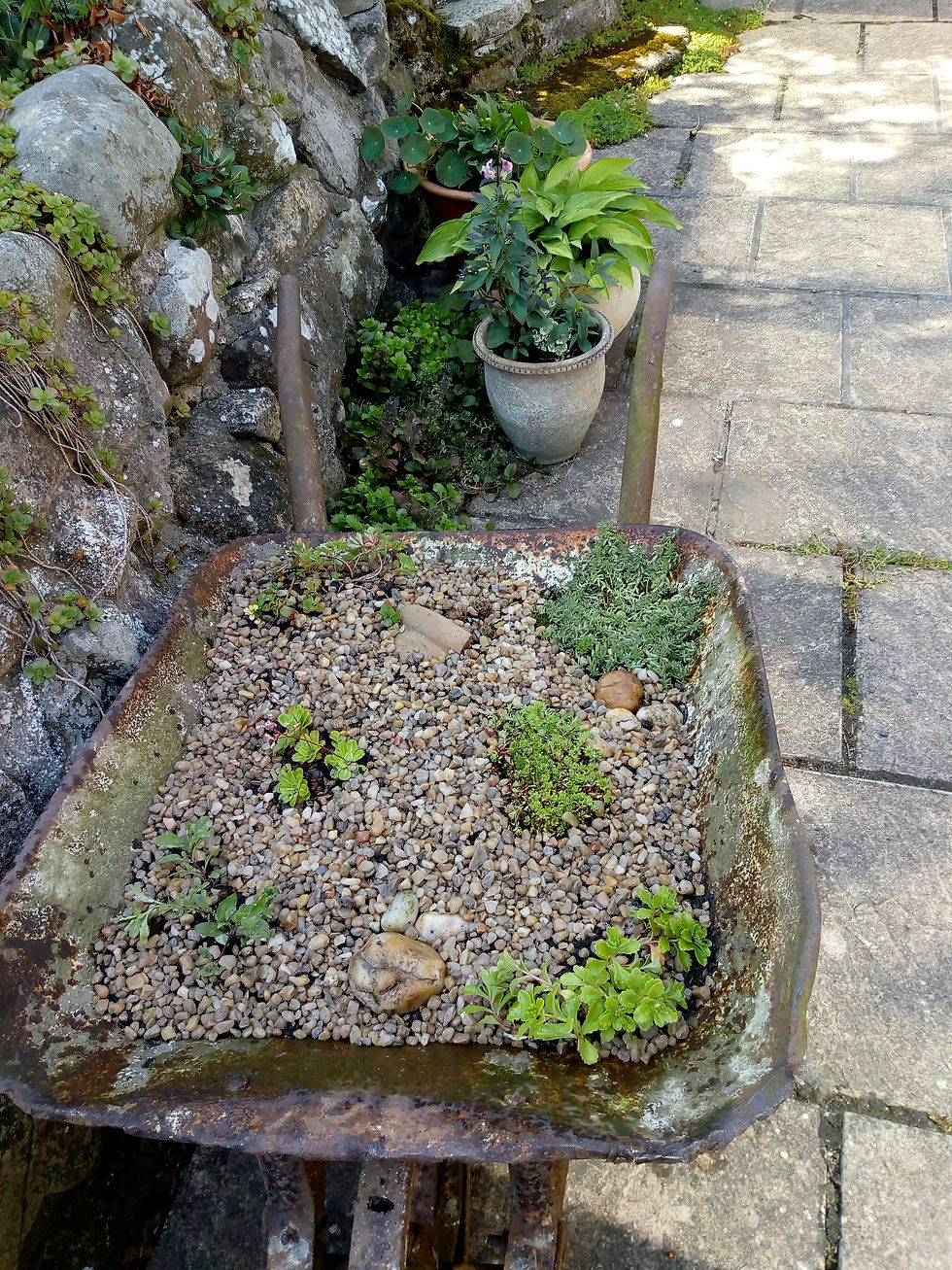 Wheelbarrow Inspiration