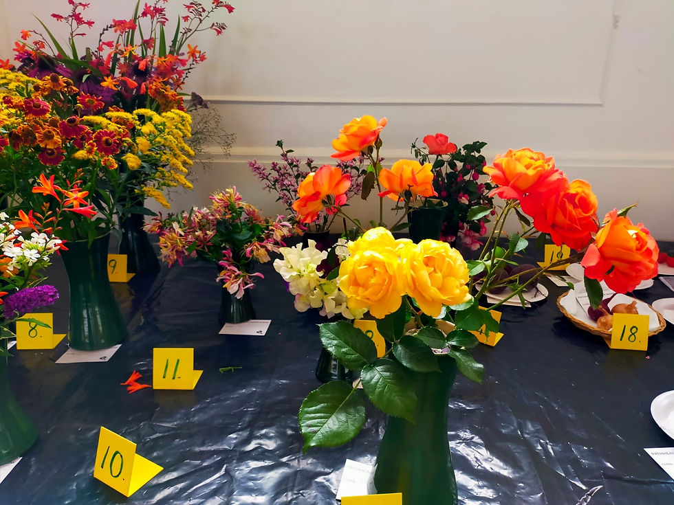 Rose entries
