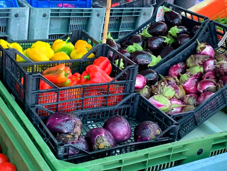 Le Marche Seasonal Crops: When to harvest