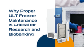 Why Proper ULT Freezer Maintenance Is Critical for Research and Biobanking