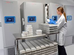 The Key to Lab Success: Preventive Maintenance for Ultra Low Temperature Freezers