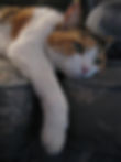 Katie