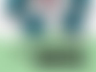 Alavanque Sua Liderança Com Coaching