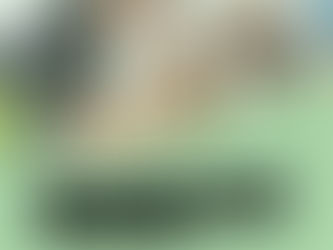 “Manage Peers”: Colabore e Infliencie seus Colegas!