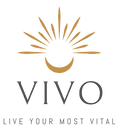 vivo-logo.png