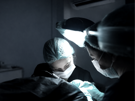 calm clinical setting for private hair transplant consultation