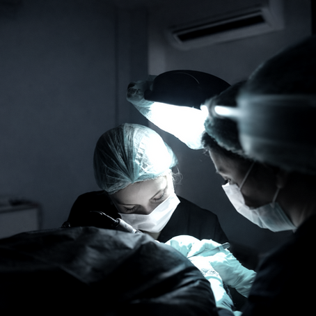 calm clinical setting for private hair transplant consultation
