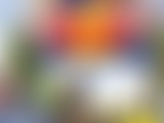 Extreme XL Lagares abre inscrições para 2026 e volta a colocar Portugal no centro do hard enduro mundial