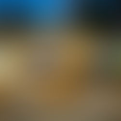 Lousada abriu época do Ralicross com espetáculo e categorias renovadas