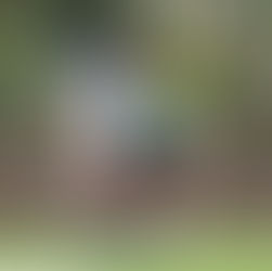 Aliados de Lordelo 1-3 SC Coimbrões num duelo escaldante e equilibrado