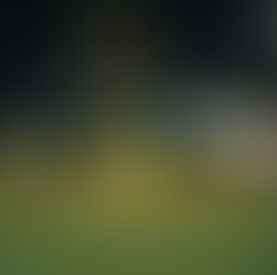 Paços de Ferreira confirma recuperação e vence Leça FC com golo do capitão
