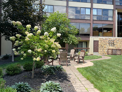 courtyard garden.JPG