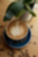 320A4730copy.jpg