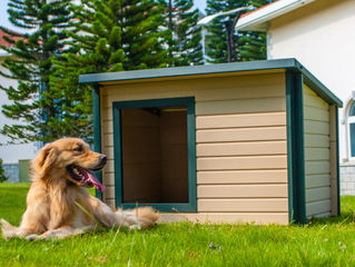How To Find The Perfect Rustic Lodge Dog House – An Insight
