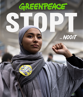 1NLGoogle display portrait.png