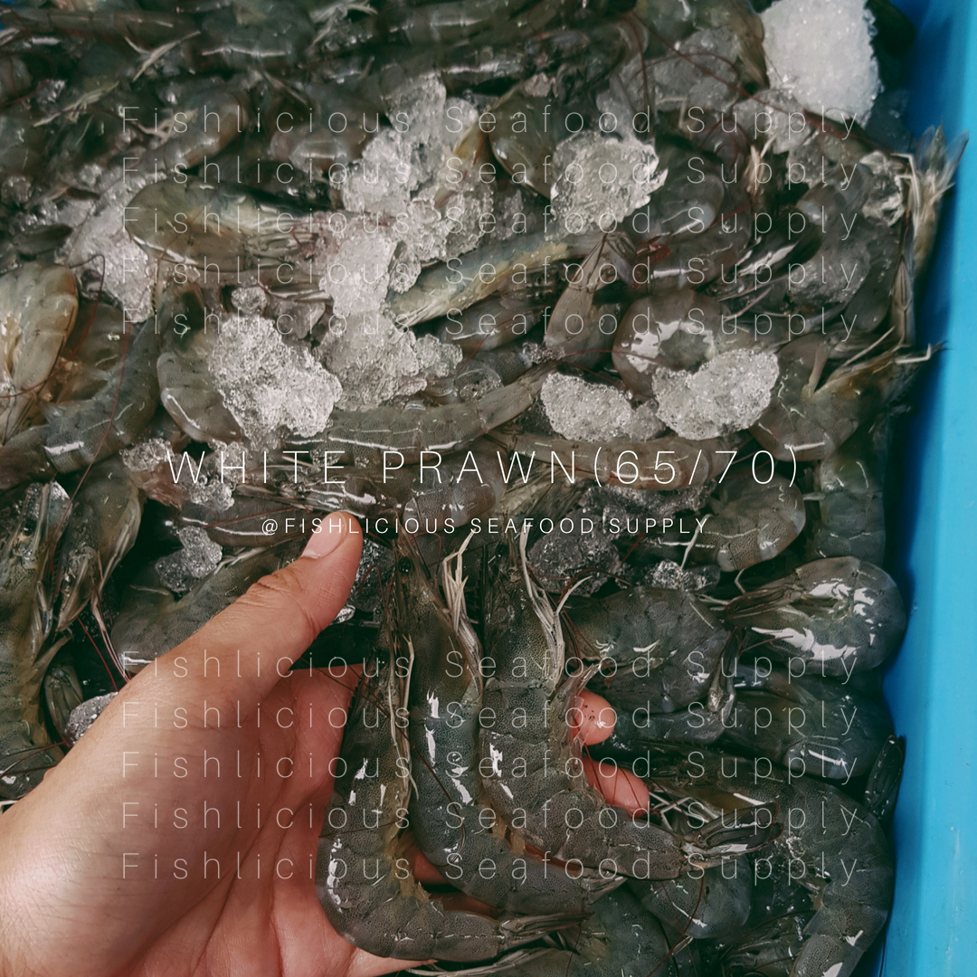 White Prawn 65/70 | Udang Bela 65/70 | 养虾 65/70