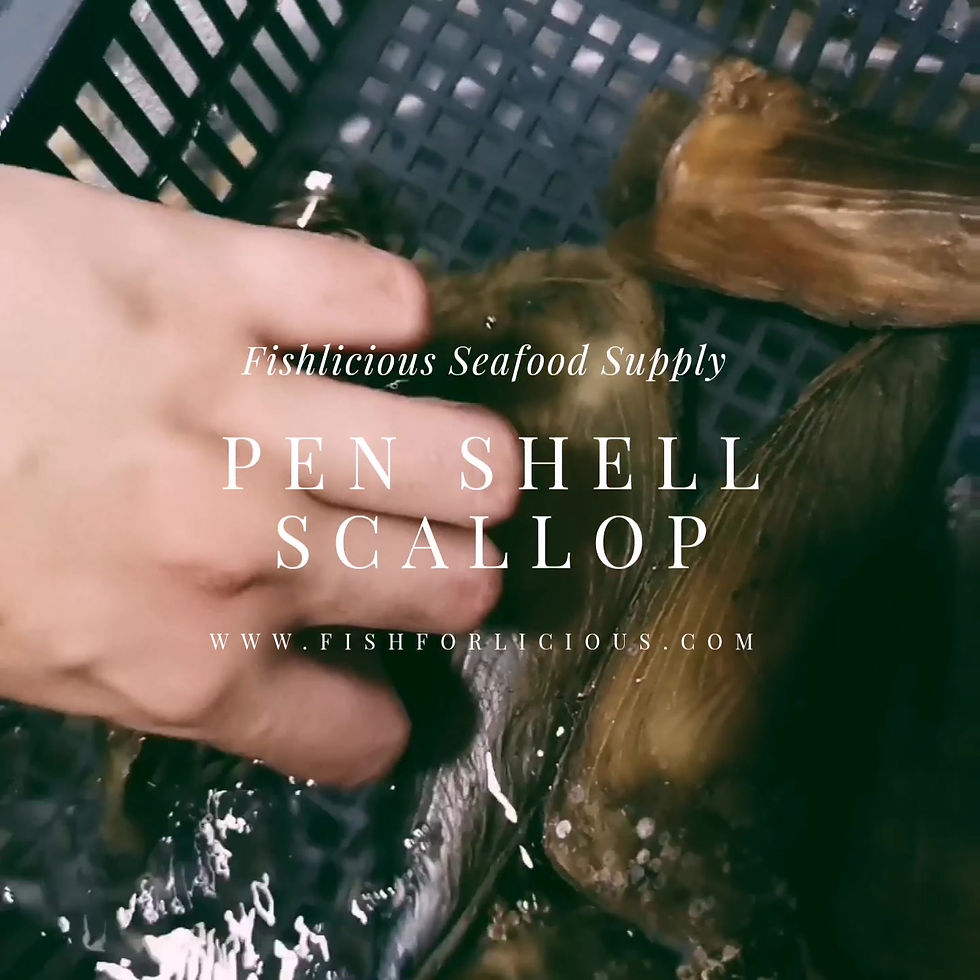 Thumbnail: Pen Shell Scallop |  带子皇