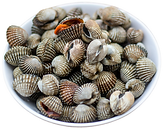 Untitled design (16).png