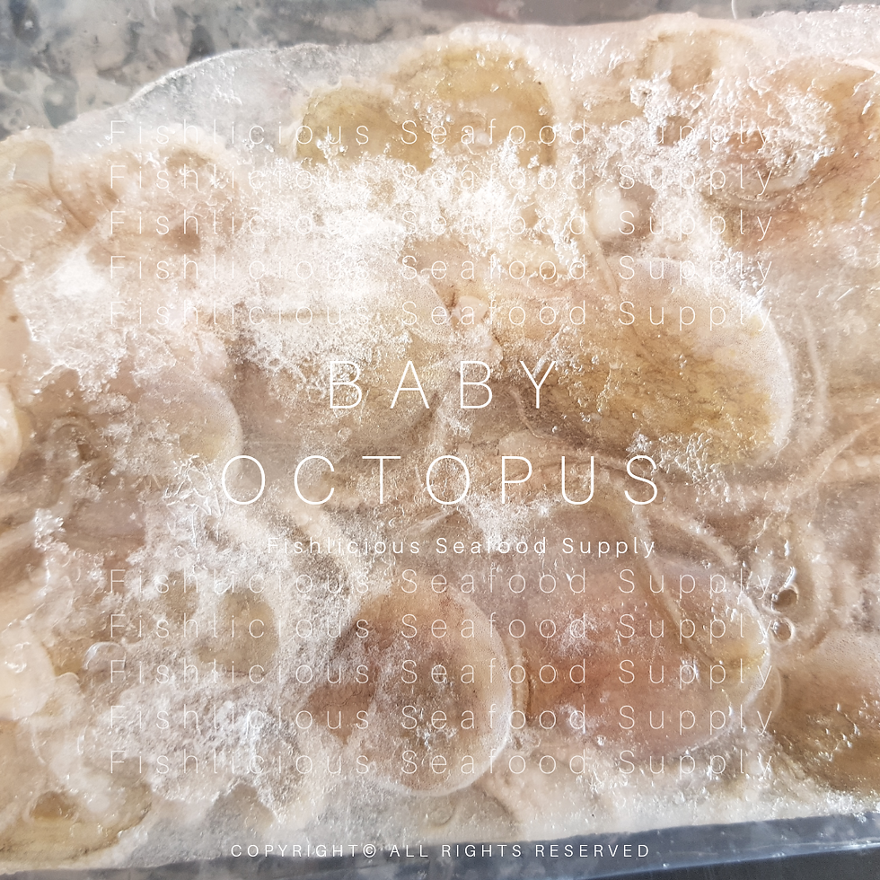 Thumbnail: Baby Octopus | 雪藏墨鱼仔