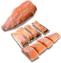 Sotong C (5).png