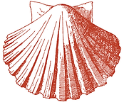 Untitled design (8).png