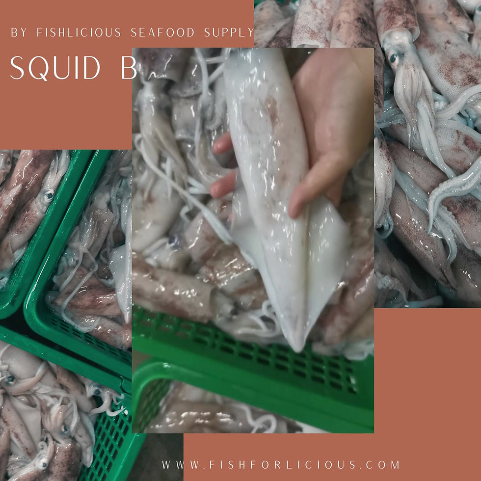 Thumbnail: Squid B (Medium) | Sotong B (Medium) | 苏东（中）