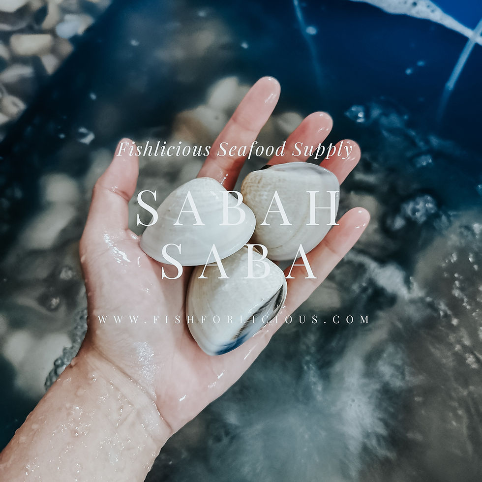 Thumbnail: Sabah Live Saba |  沙巴沙白(活）
