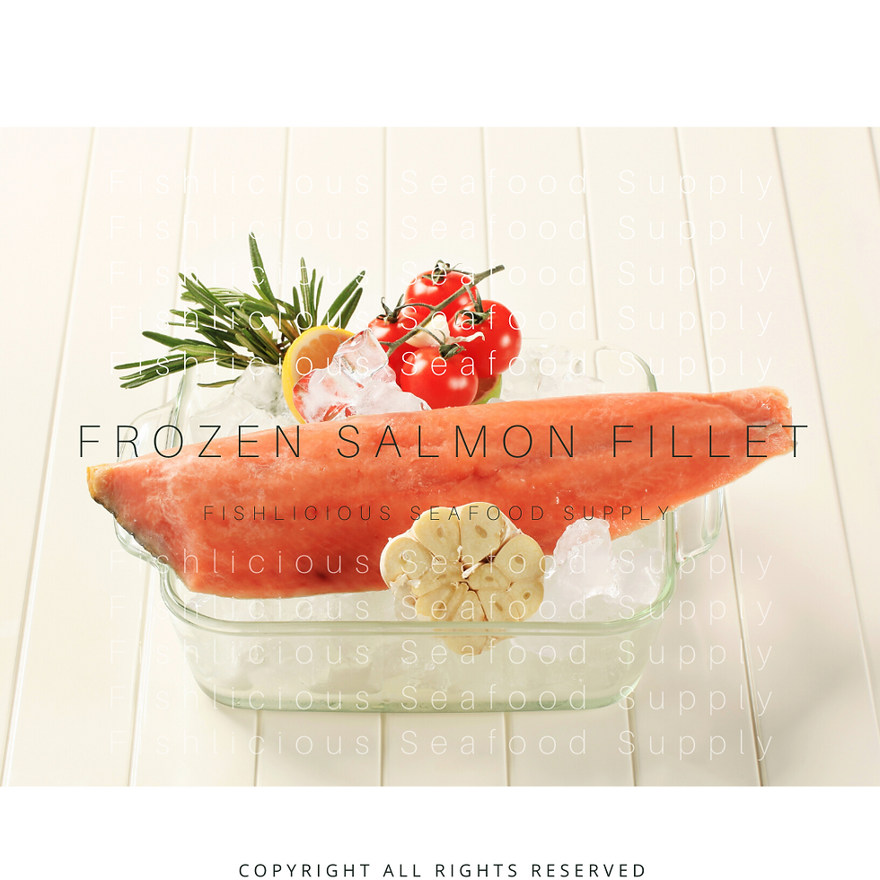 Frozen Salmon Fillet | 冷藏三文鱼片