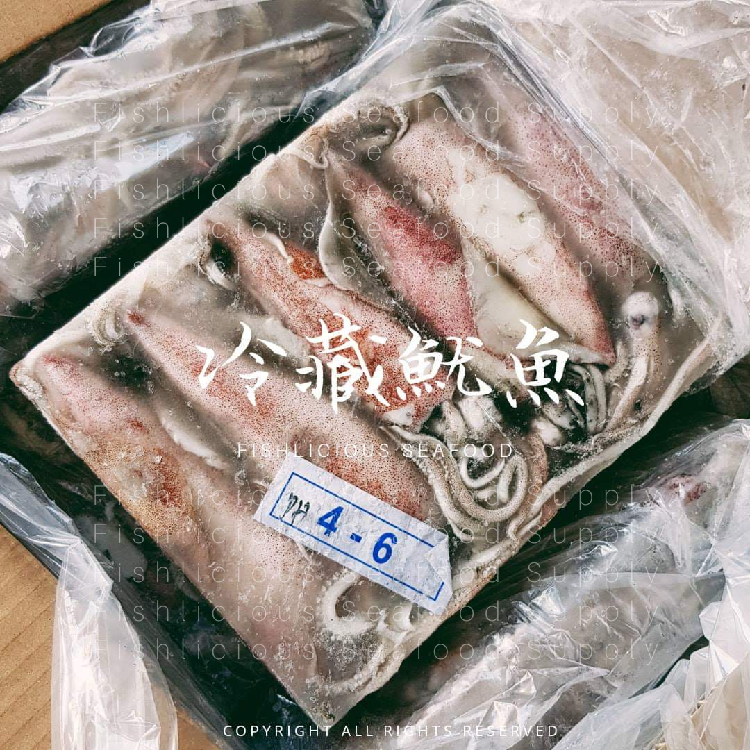 Frozen Sotong 4/6 | 雪藏苏东 4/6