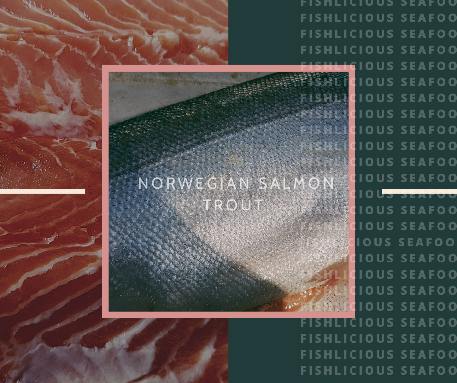 Thumbnail: Norwegian Salmon Fjord Trout Fresh | 挪威三文鱼（新鲜）
