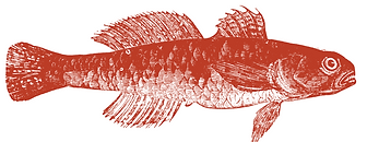 Untitled design (3).png