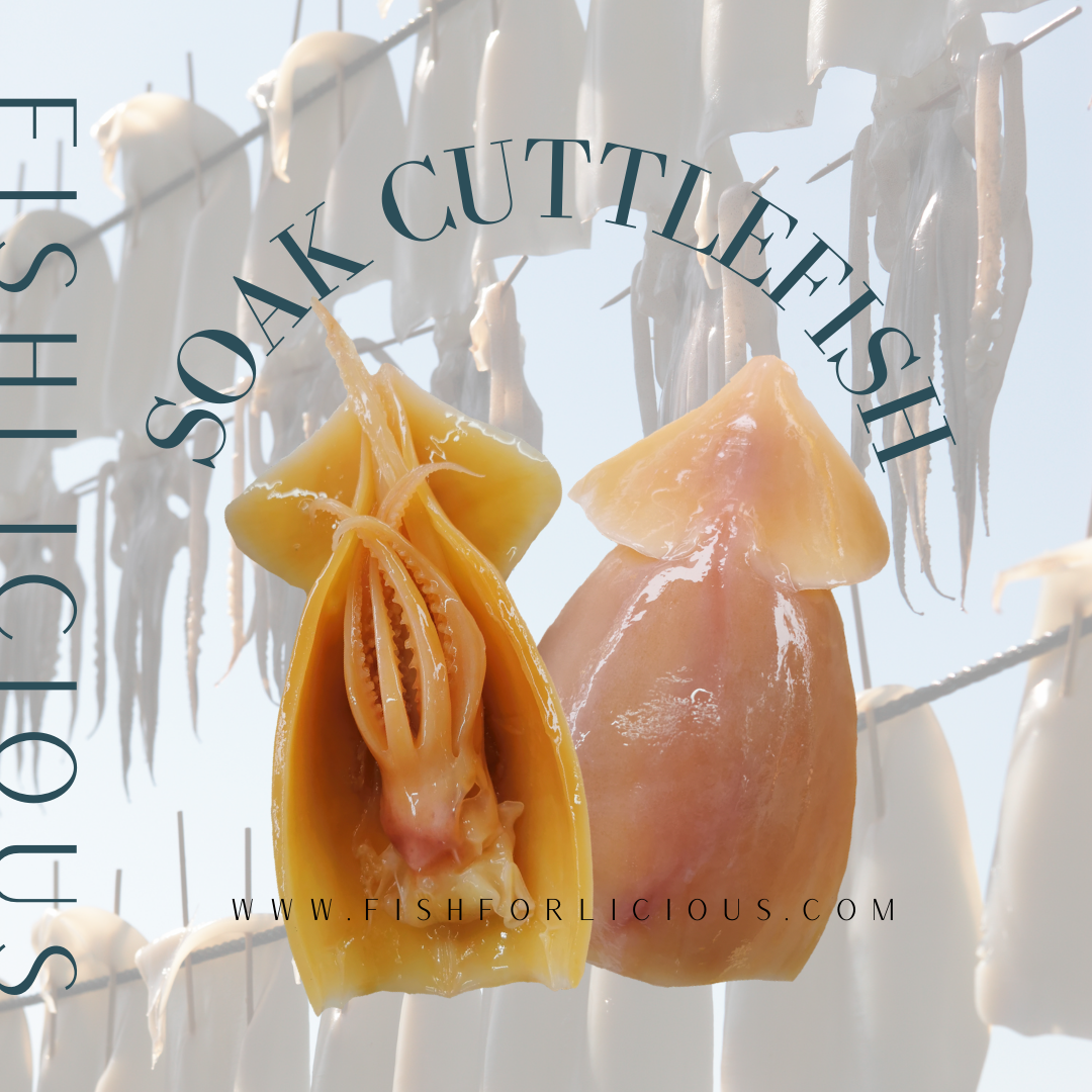 Soak Cuttlefish 水发鱿鱼