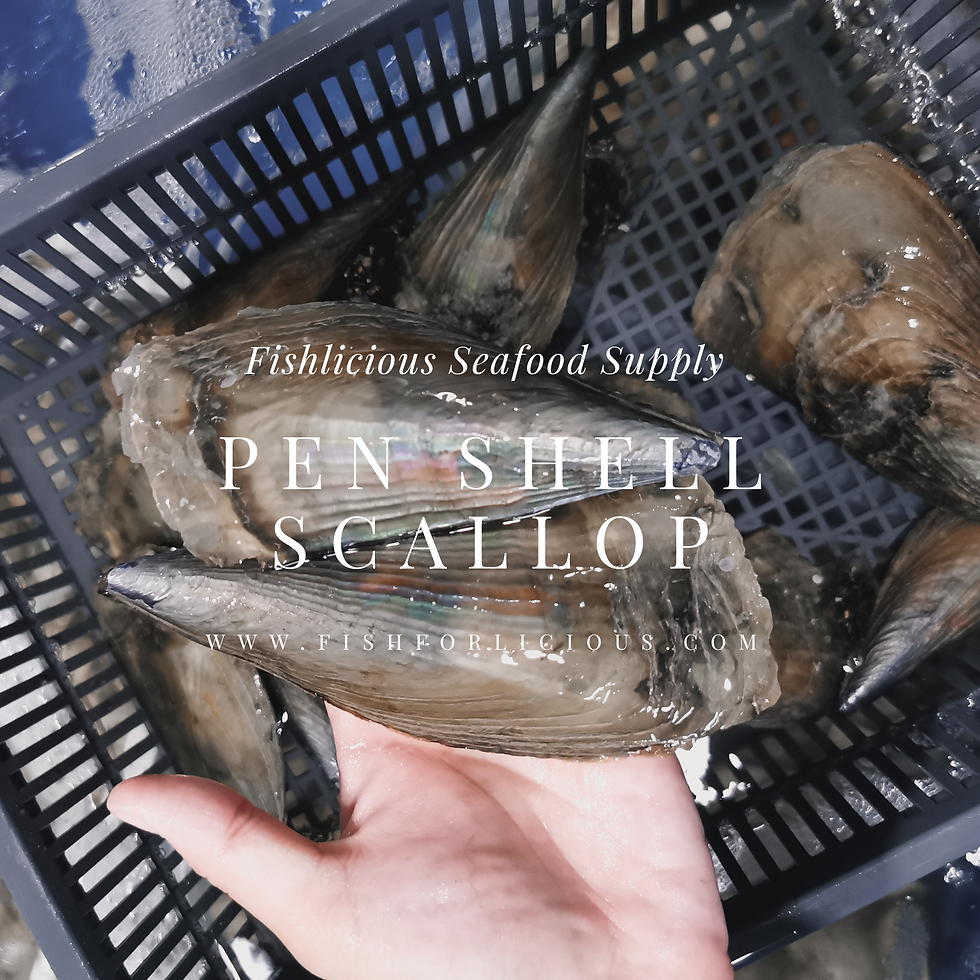 Thumbnail: Pen Shell Scallop |  带子皇