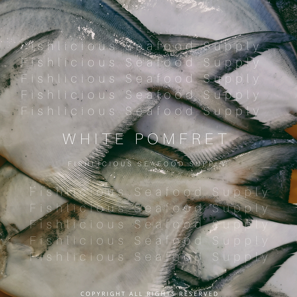 Thumbnail: White Pomfret | Bawal Putih | 白昌鱼