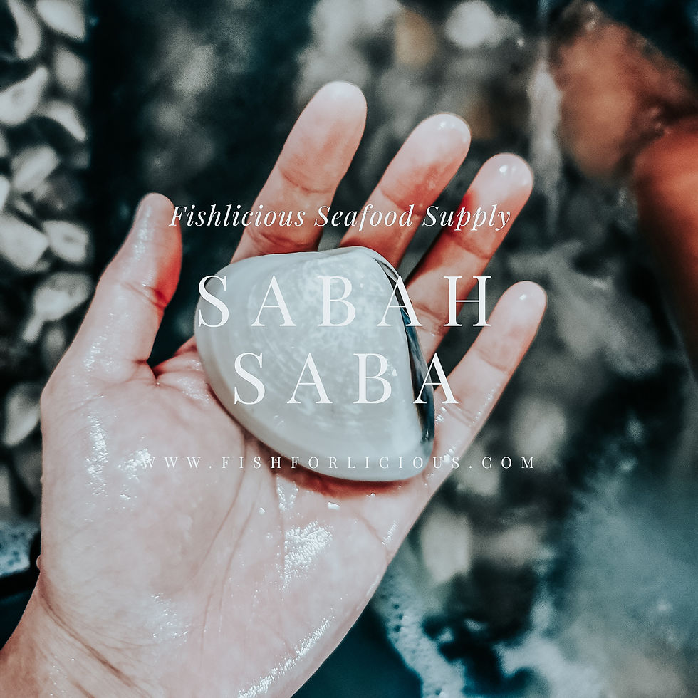 Thumbnail: Sabah Live Saba |  沙巴沙白(活）