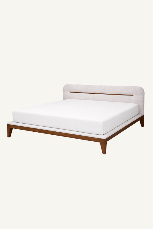 Miniatura: CAMA KS BACILLI