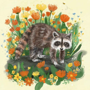 Curious Raccoon
Not native to Norway, but still a much loved wildling. Known in Norway as "vaskebjørn"— "washing bear". The name is derived from the washing movement the animal makes with its arms when fishing for food in water.