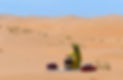 dunetea.jpg