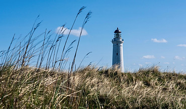 lighthouse-7952718_1920.jpg