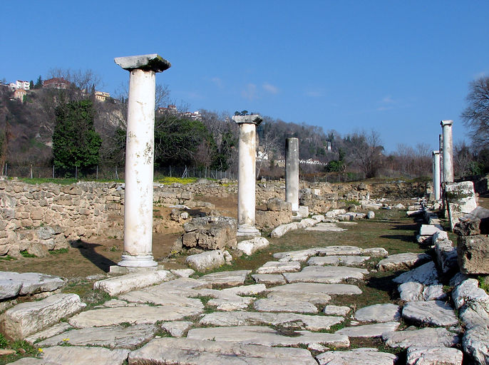 3-loggos.JPG