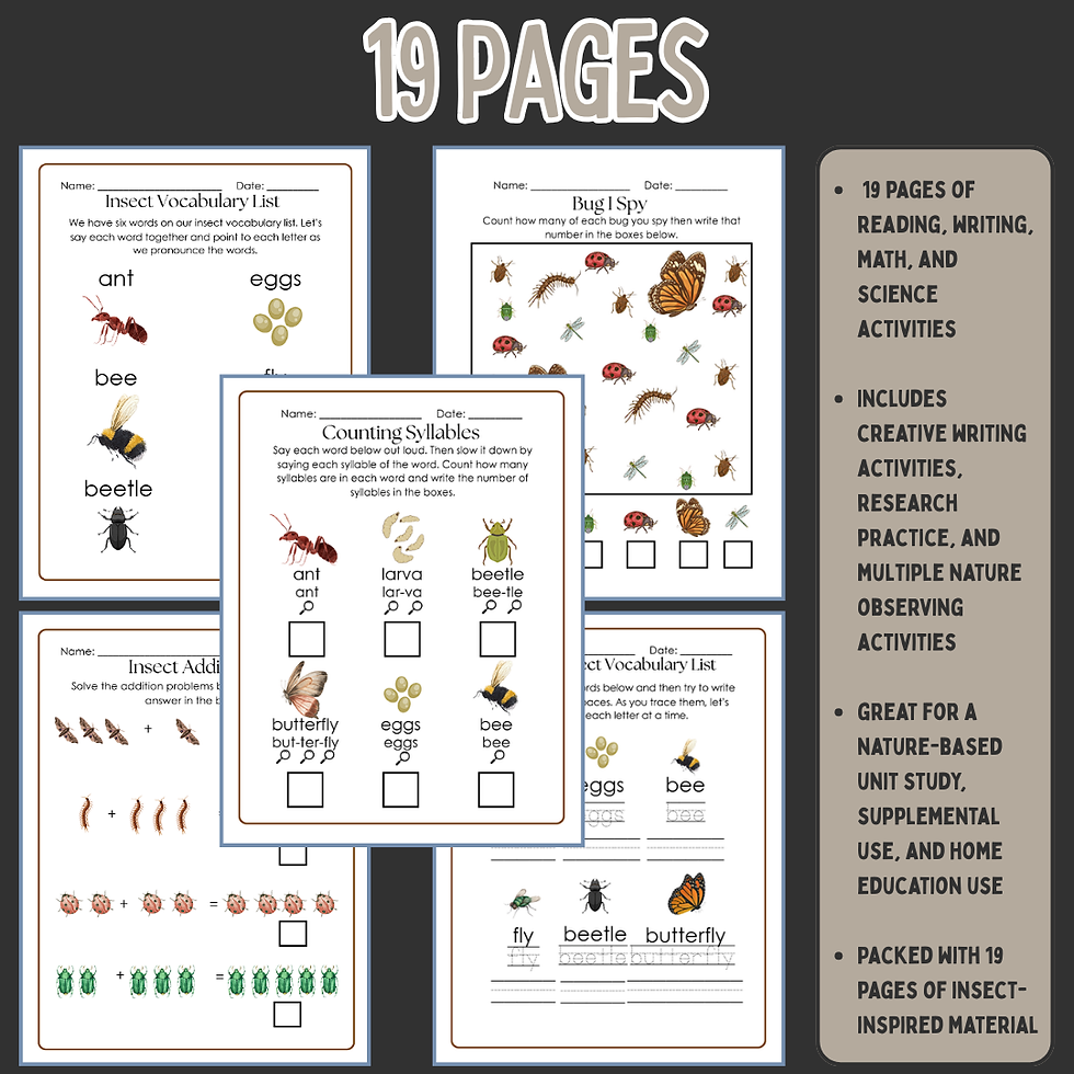 Thumbnail: Insect Unit | Kindergarten Nature Study