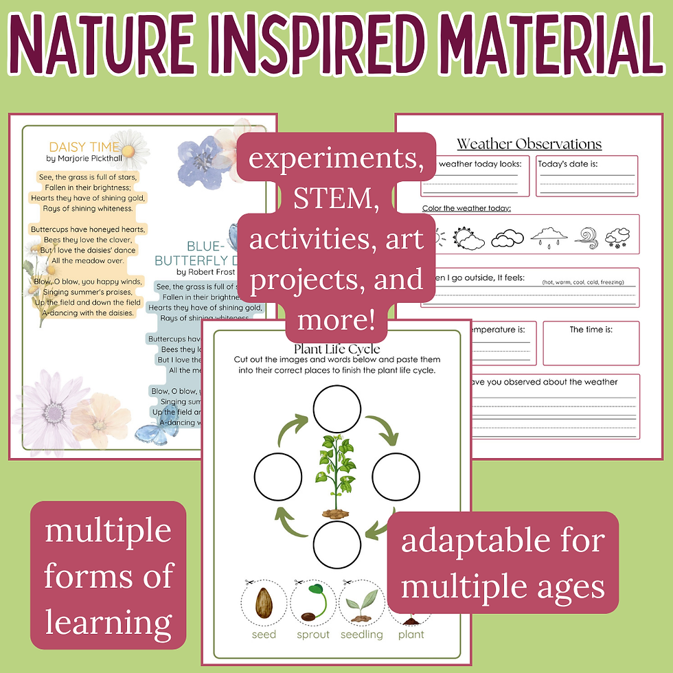 Thumbnail: Spring Into Learning PreK-4th Grade Unit - Spring Unit Study
