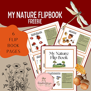 Product Pages (39).png