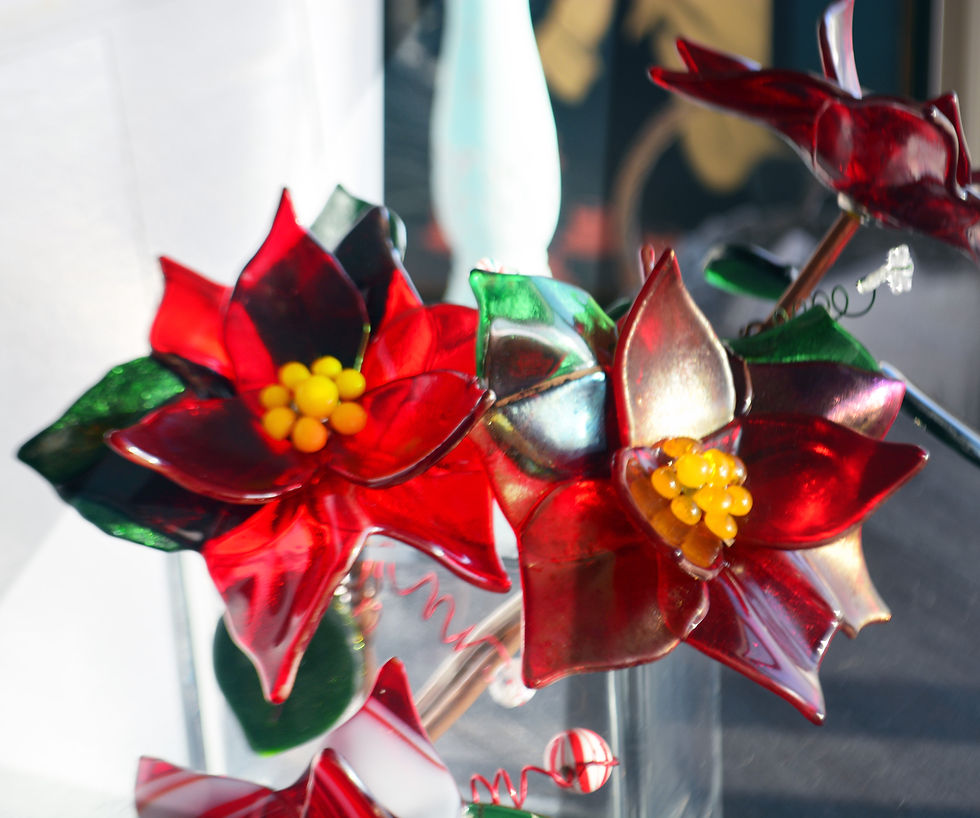 Thumbnail: Poinsettia on a Stem