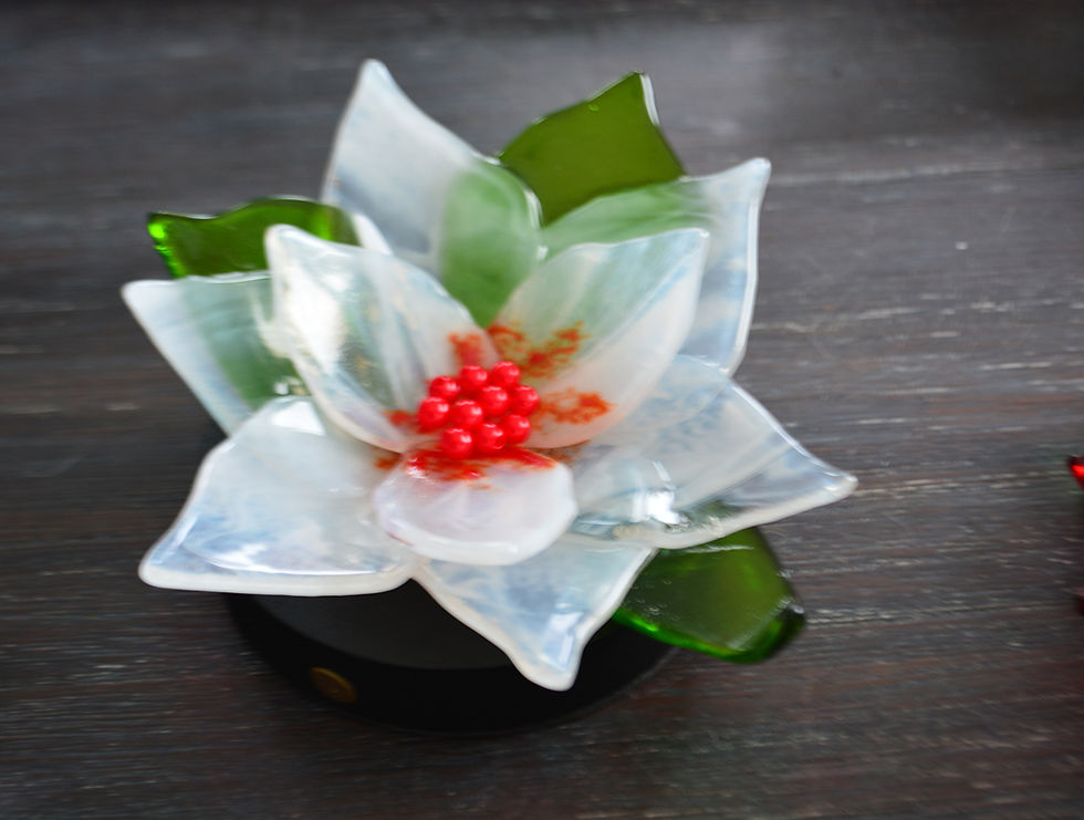Thumbnail: Poinsettia - White